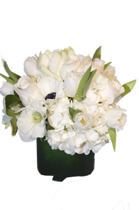 White Arrangement White flowers